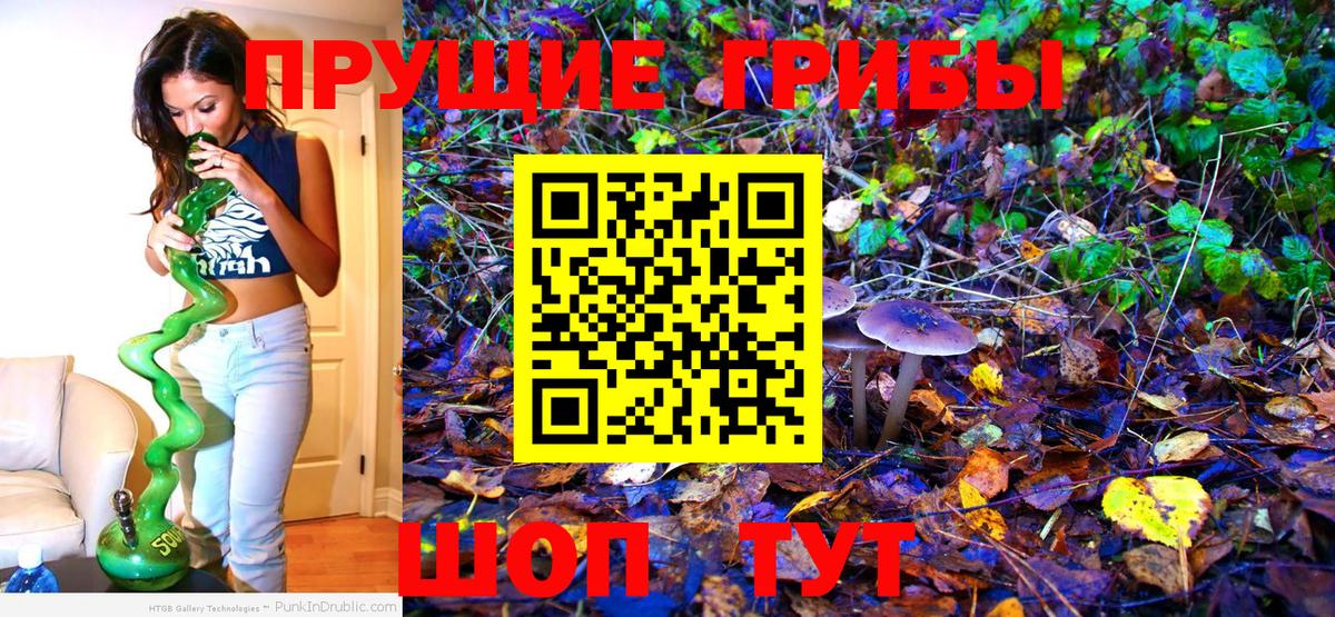 Псилоцибиновые грибы прущие грибы  Вход с VPN  Корсаков 