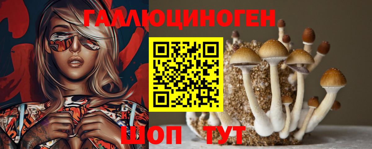 Псилоцибиновые грибы Psilocybine cubensis Корсаков